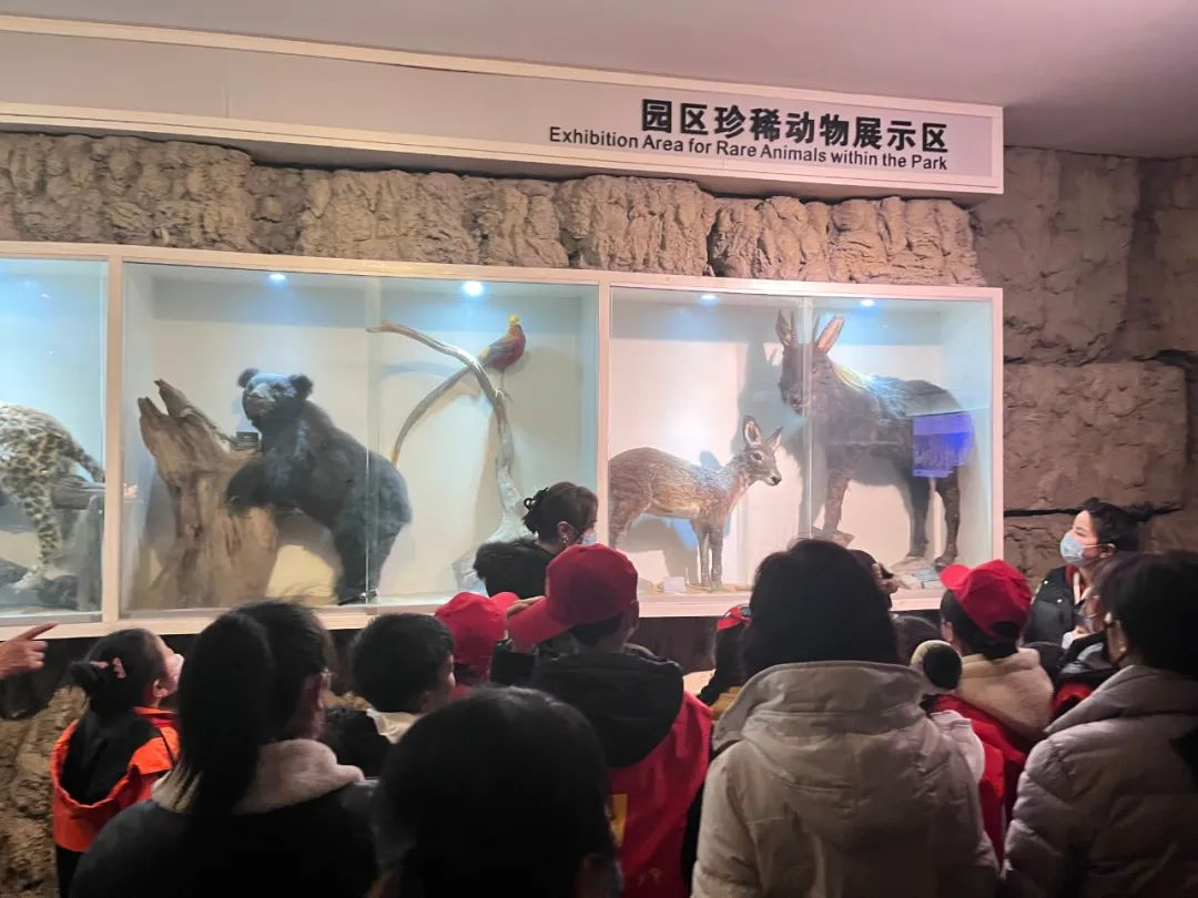 图片.png