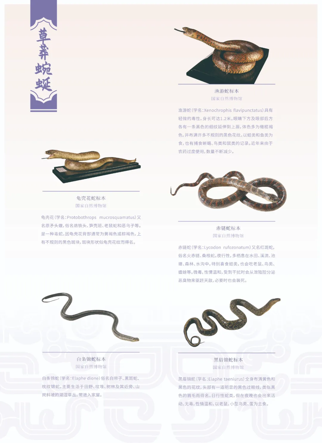 图片 12.png