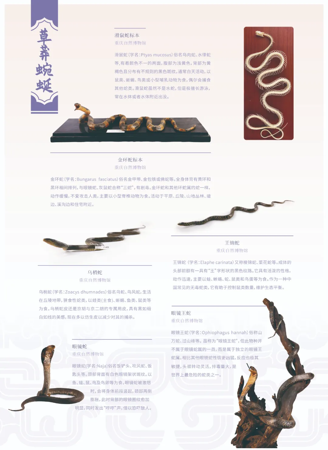 图片 13.png