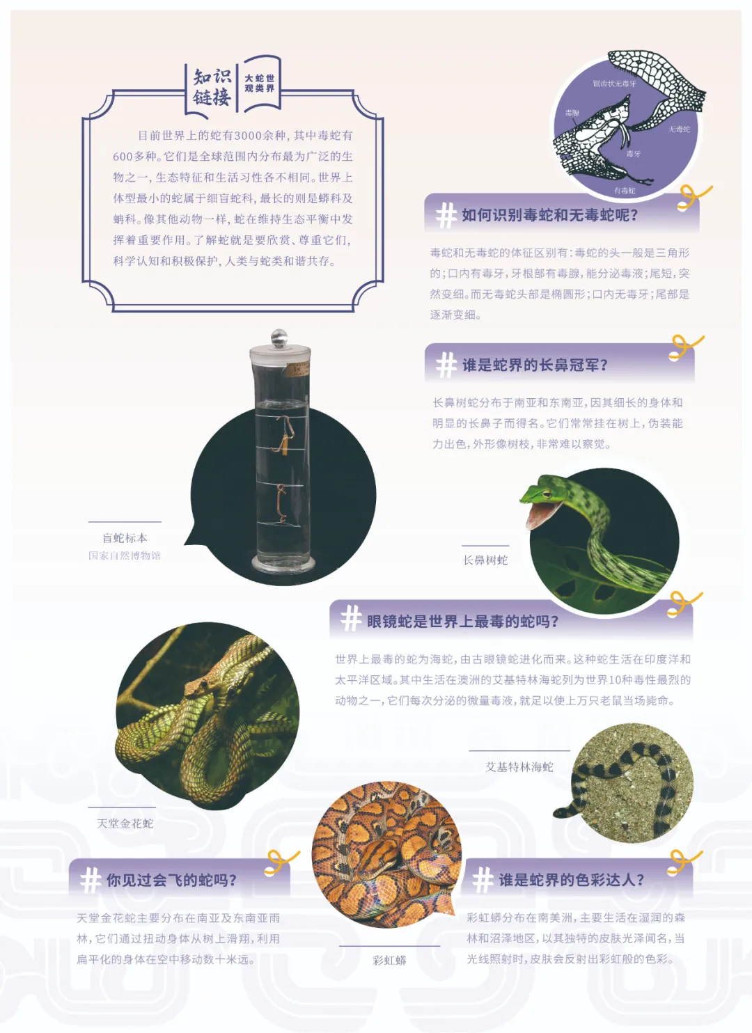图片 14.png