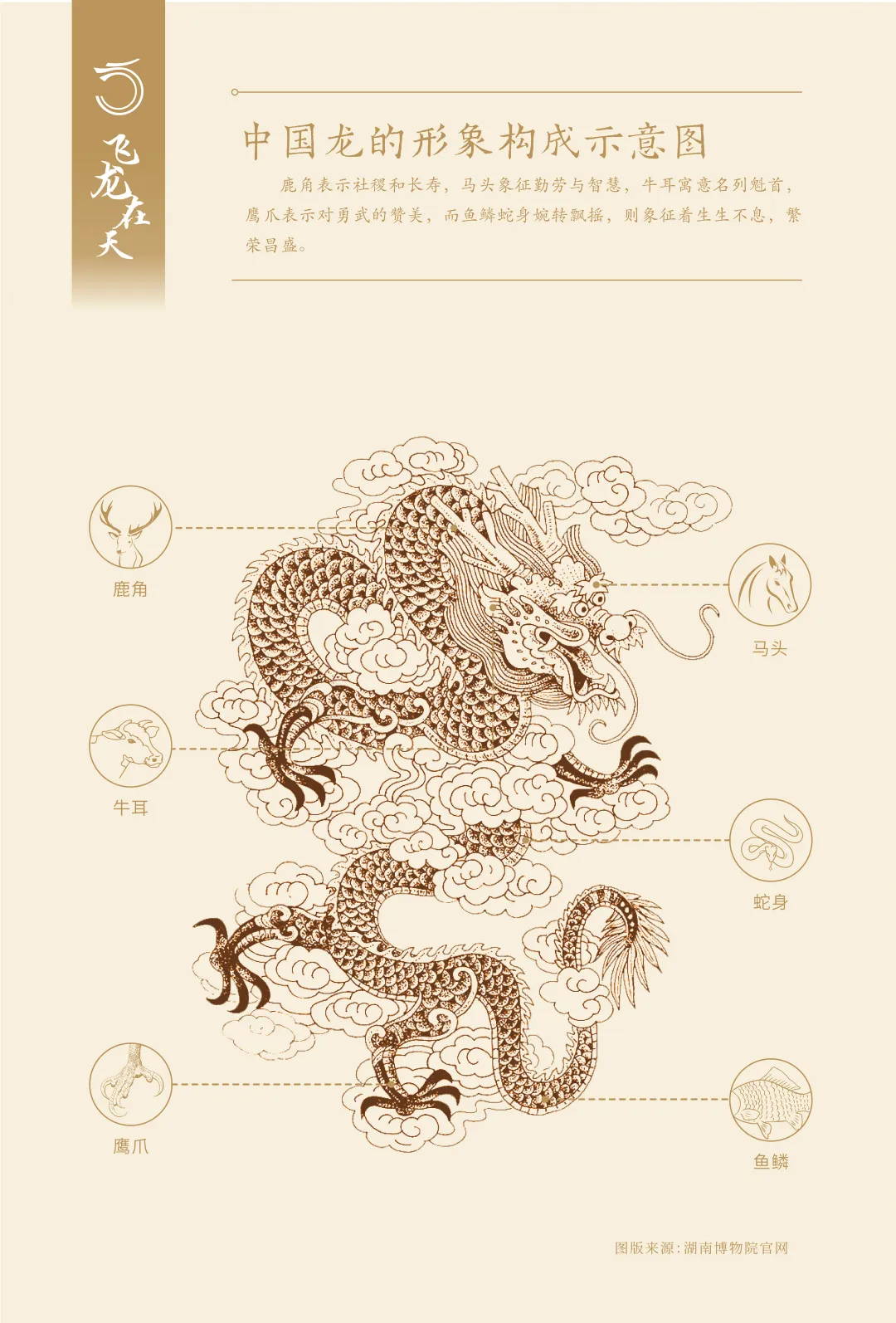 图片 16.jpg