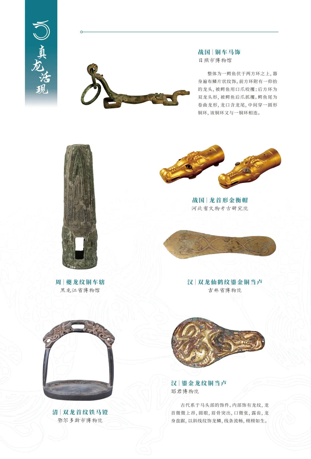 图片 23.jpg