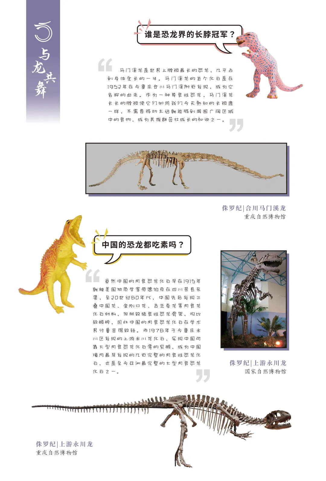 图片 3.jpg
