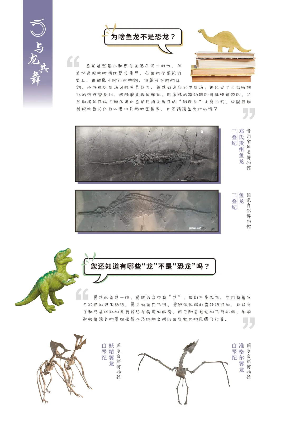 图片 4.jpg
