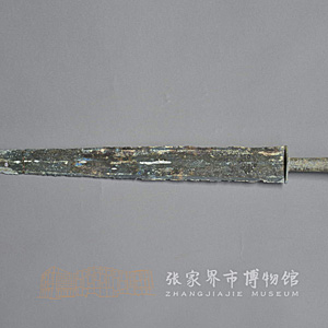 Image Description