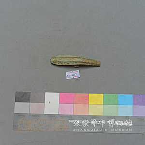 Image Description