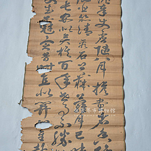 Image Description