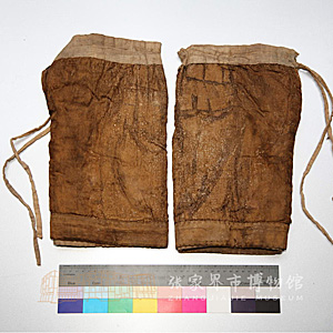 Image Description