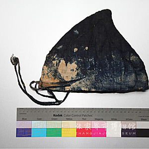 Image Description